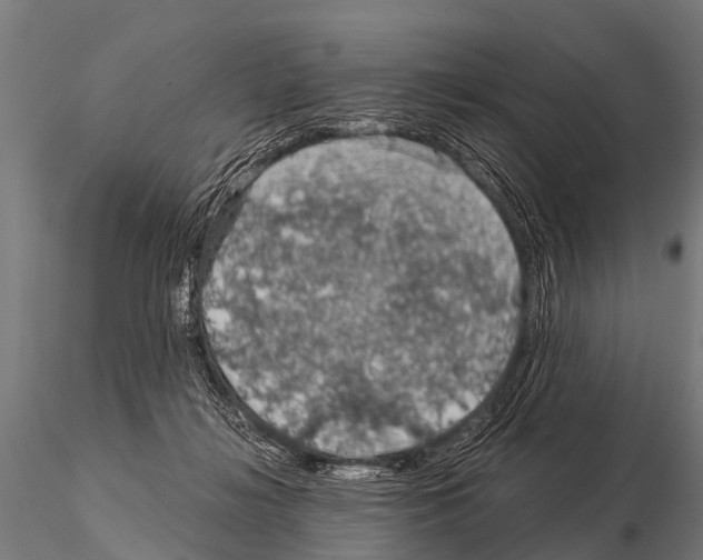 X0000115210268200912091205