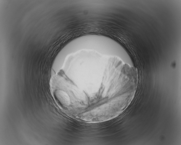 X0000115210269200912091205