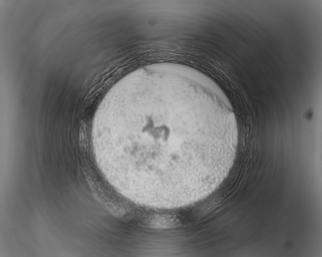 X0000115210270200912091205