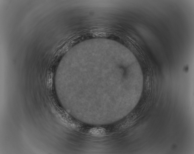 X0000115210271200912091205