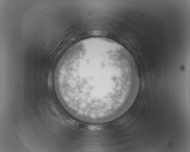 X0000115210272200912091205