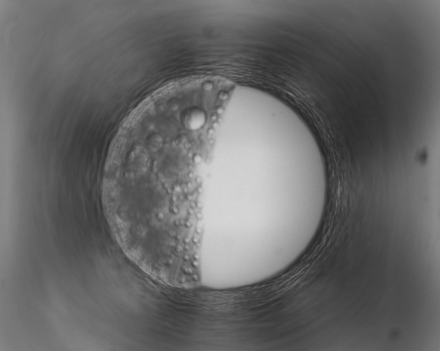 X0000115210273200912091205