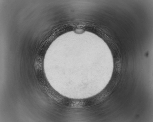 X0000115210274200912091205