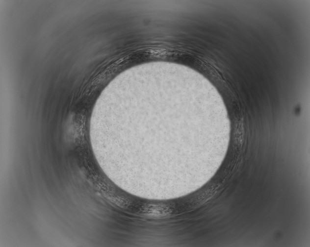 X0000115210275200912091205