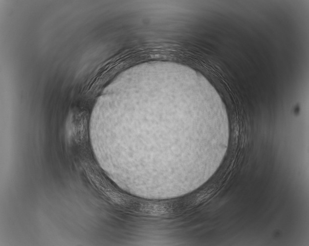 X0000115210276200912091205