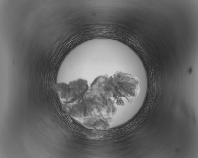 X0000115210277200912091205