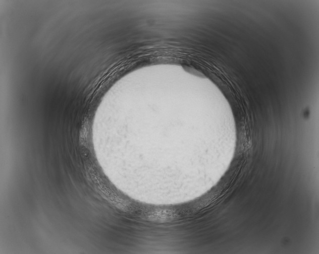 X0000115210278200912091205