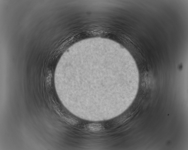 X0000115210279200912091205