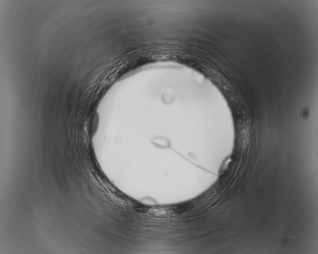 X0000115210280200912091205