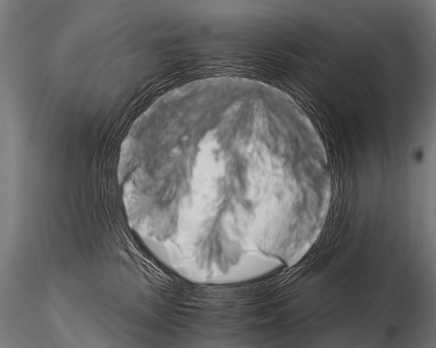 X0000115210281200912091205