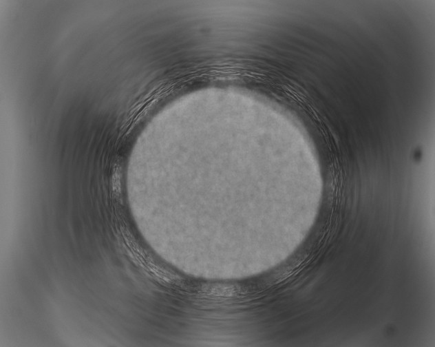 X0000115210282200912091205