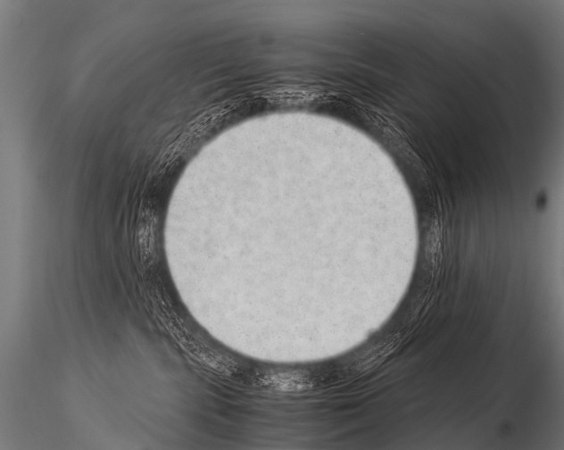 X0000115210283200912091205