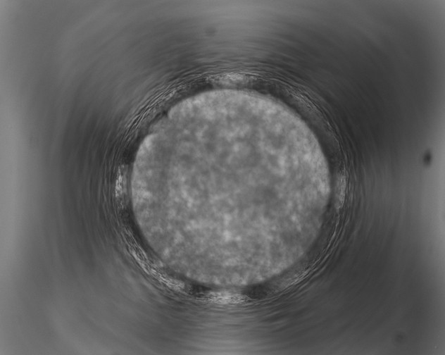 X0000115210284200912091205