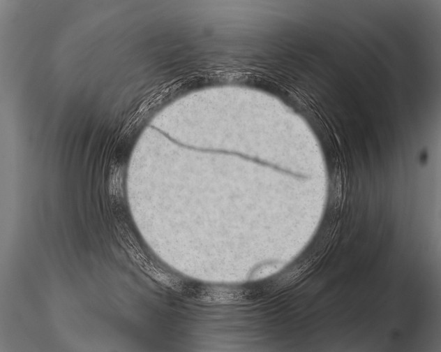 X0000115210286200912091205