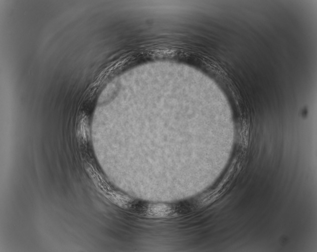 X0000115210287200912091205