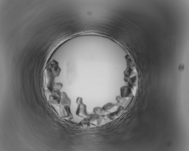 X0000115210289200912091204