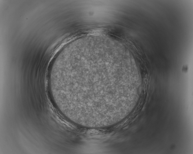 X0000115210290200912091204