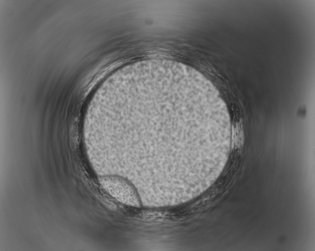 X0000115210291200912091204