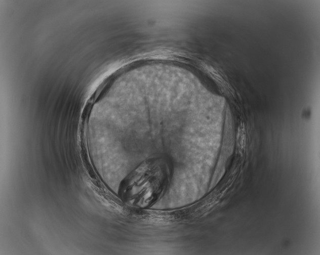 X0000115210292200912091204