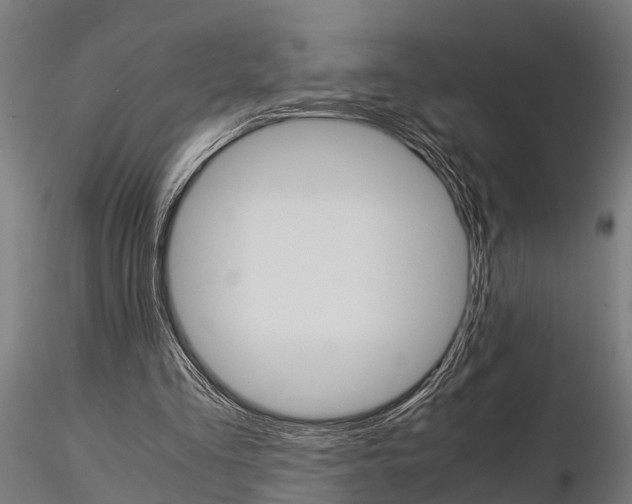 X0000115210293200912091204