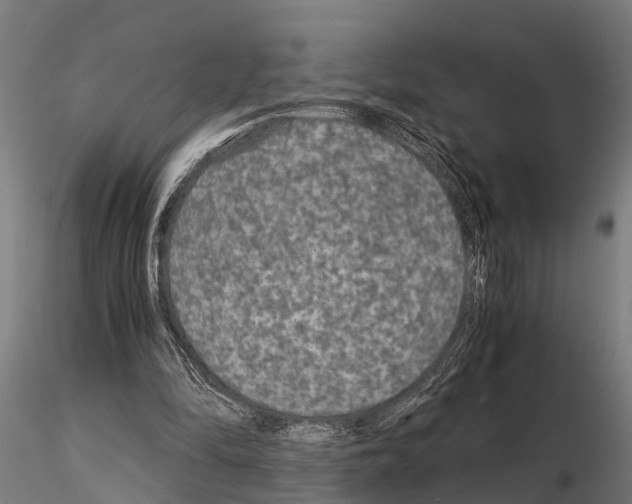 X0000115210294200912091204