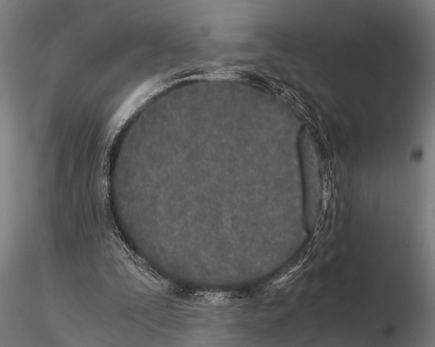 X0000115210295200912091204