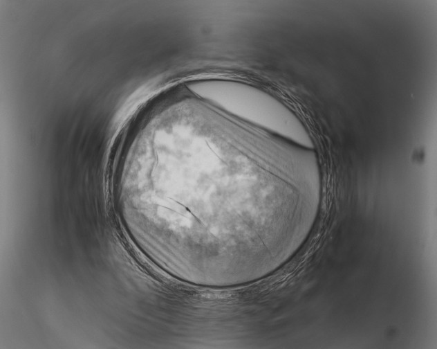 X0000115210296200912091204