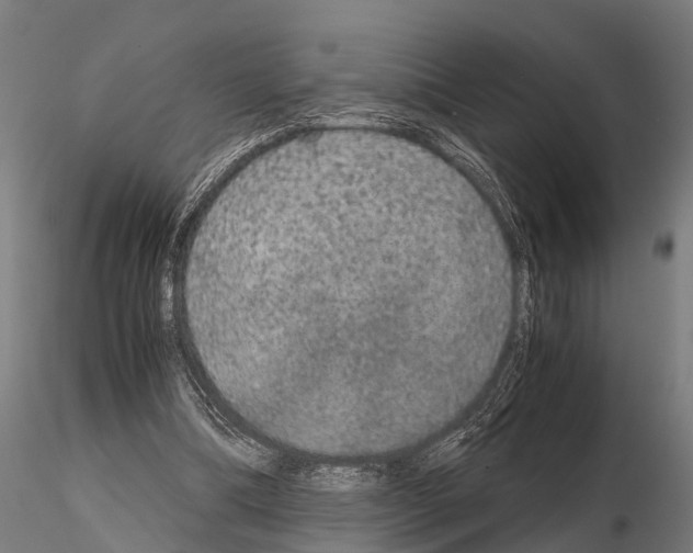 X0000115210298200912091204