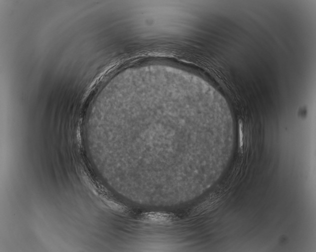 X0000115210300200912091204