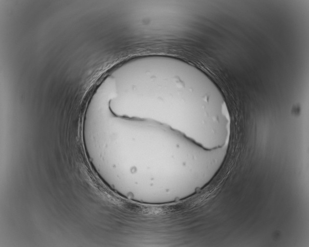 X0000115210301200912091204