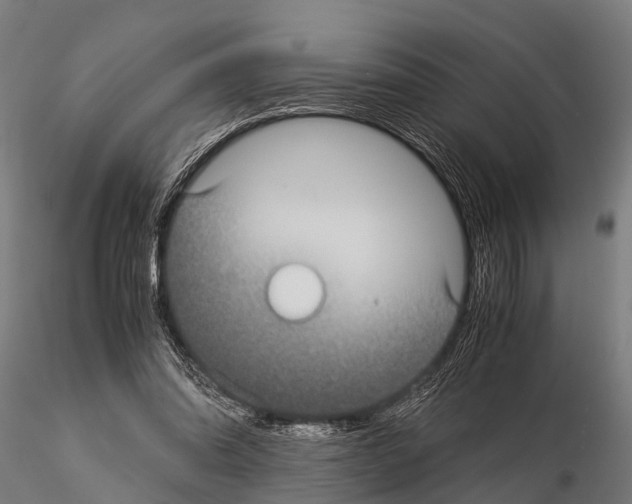 X0000115210302200912091204