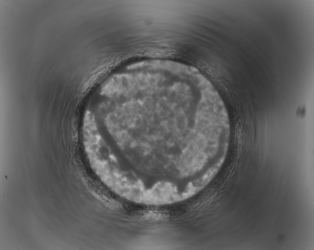 X0000115210303200912091204