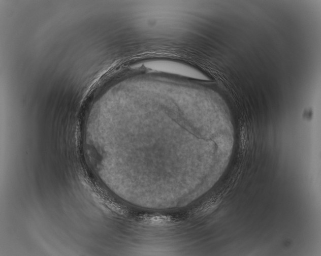 X0000115210304200912091204