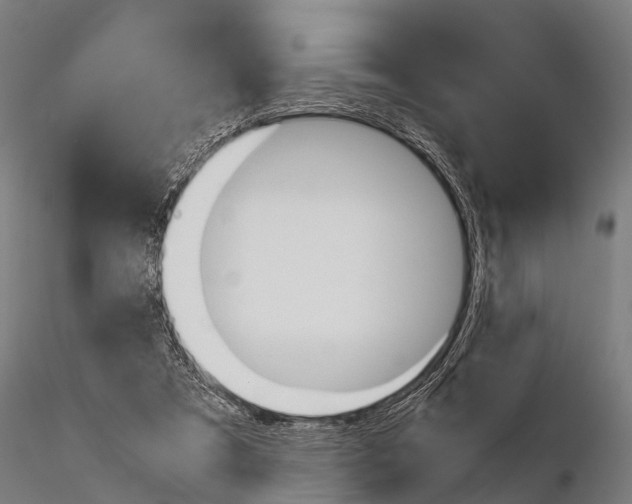 X0000115210305200912091204