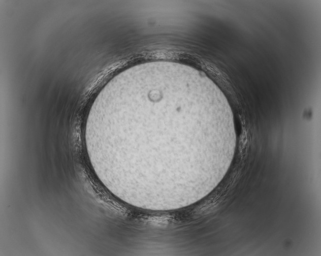 X0000115210306200912091204