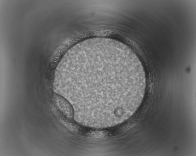 X0000115210307200912091204