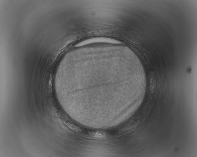 X0000115210308200912091204