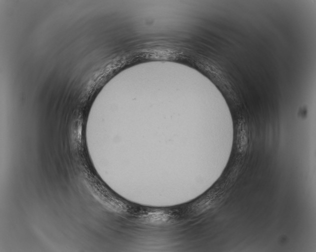 X0000115210310200912091204