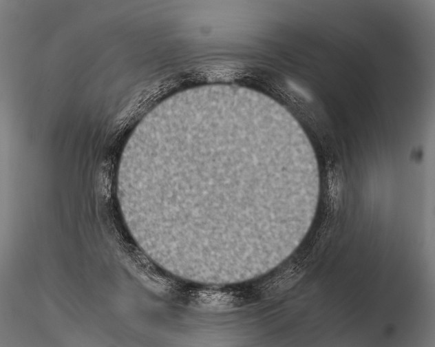 X0000115210311200912091204