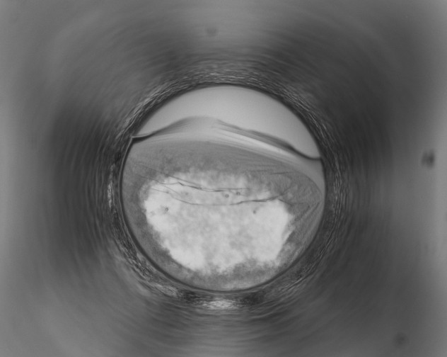 X0000115210312200912091204