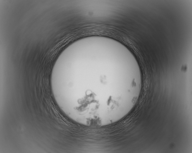 X0000115210313200912091204