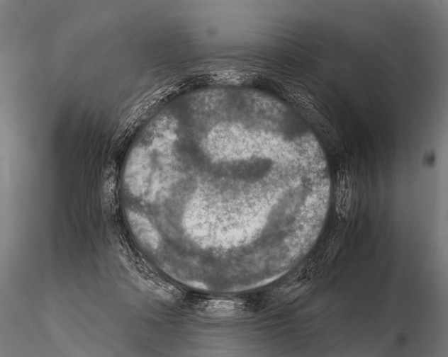 X0000115210314200912091204