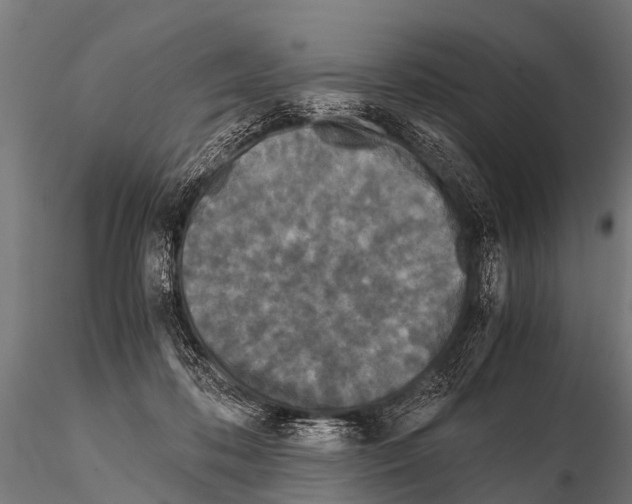 X0000115210316200912091204