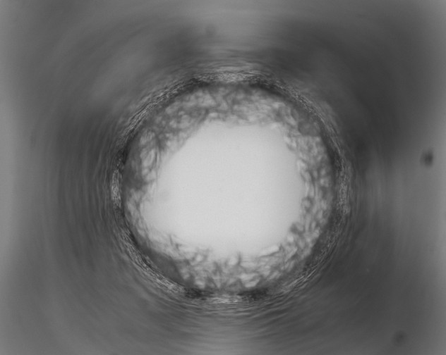 X0000115210317200912091204