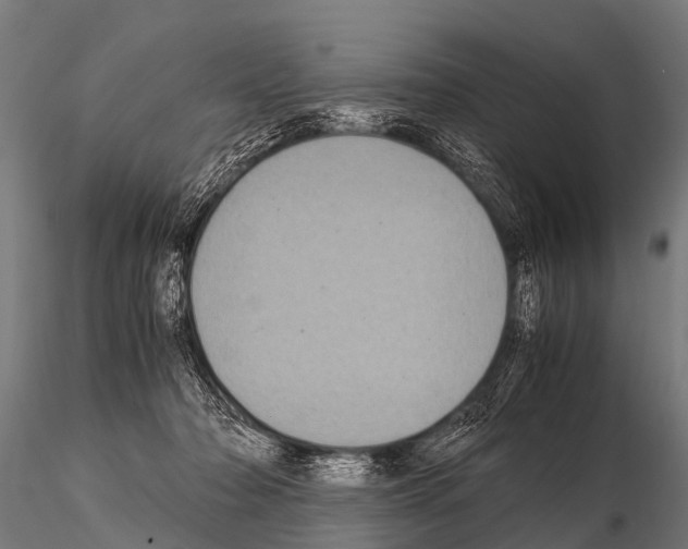 X0000115210318200912091204