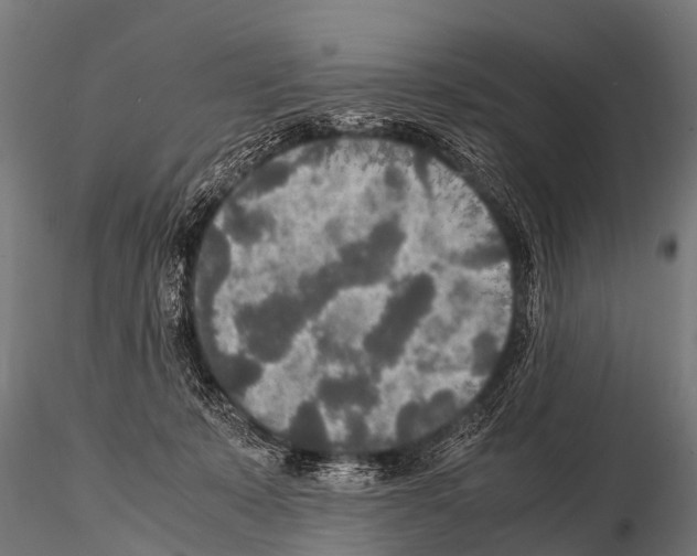 X0000115210319200912091204