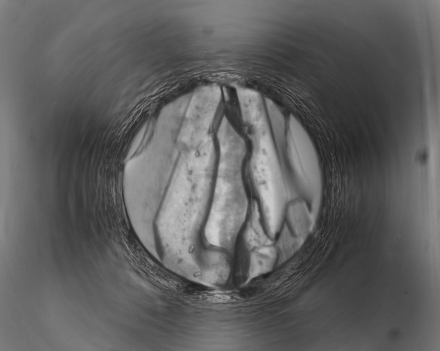 X0000115210320200912091204