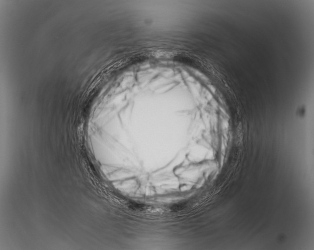 X0000115210321200912091204