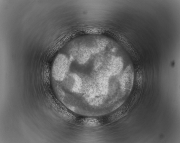 X0000115210322200912091204