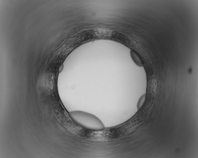 X0000115210323200912091204